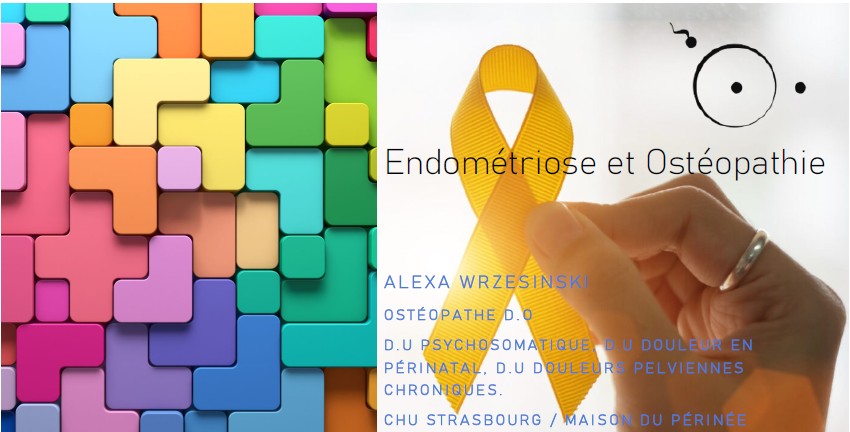 image d'une présentation de formation